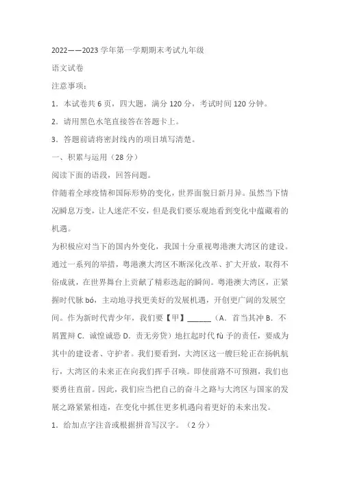 河南省洛阳市嵩县2022-2023学年九年级上学期期末语文试题(含解析)