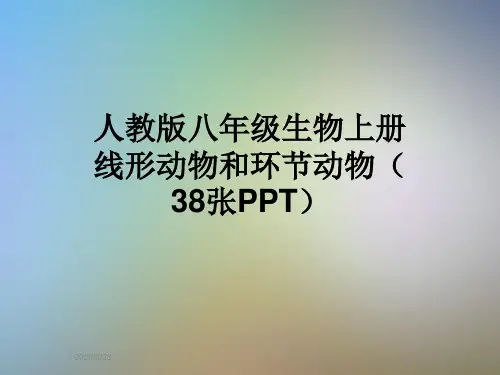 人教版八年级生物上册线形动物和环节动物(38张PPT)