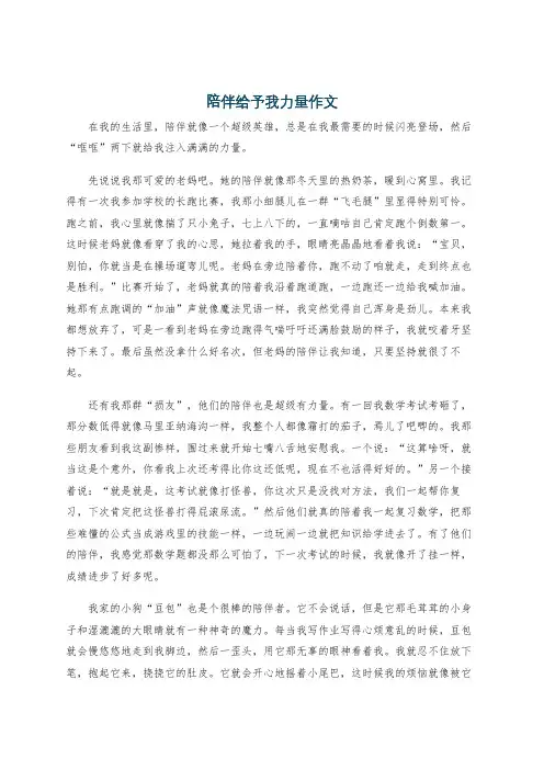 陪伴给予我力量作文