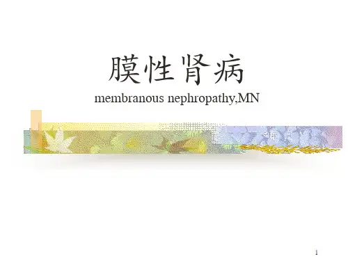 膜性肾病PPT课件