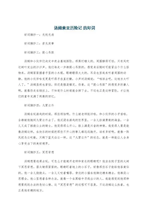 汤姆索亚历险记 的好词