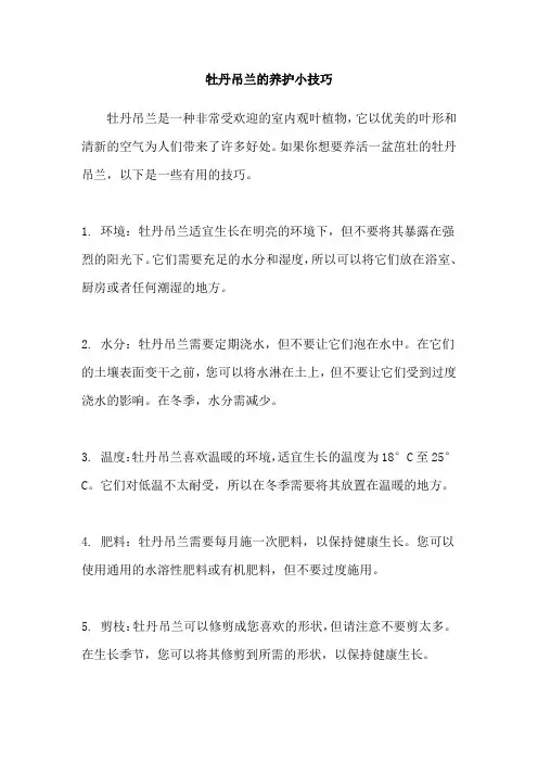 牡丹吊兰的养护小技巧
