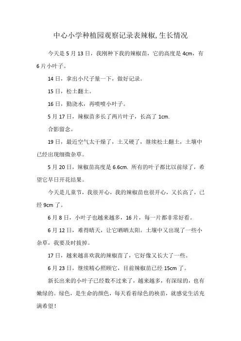 中心小学种植园观察记录表辣椒,生长情况