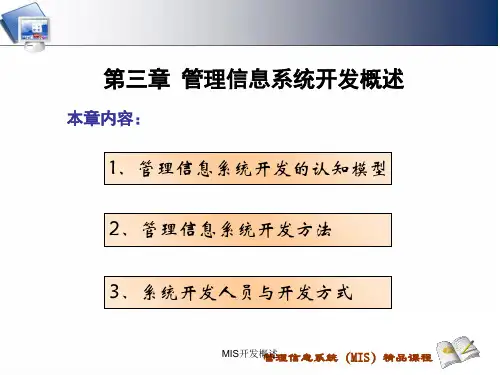MIS开发概述PPT课件