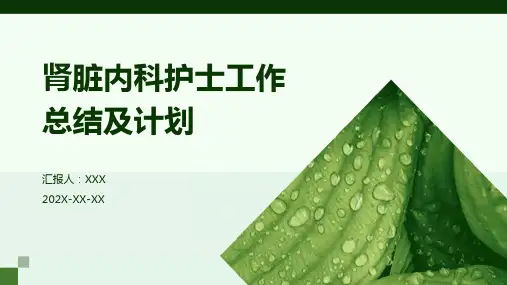 肾脏内科护士工作总结及计划PPT课件