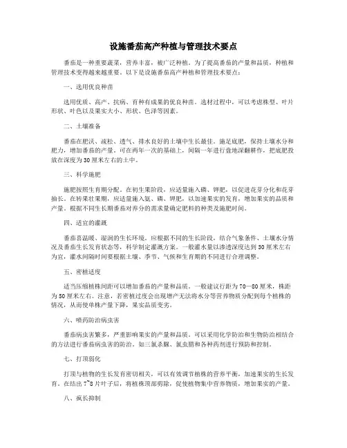 设施番茄高产种植与管理技术要点