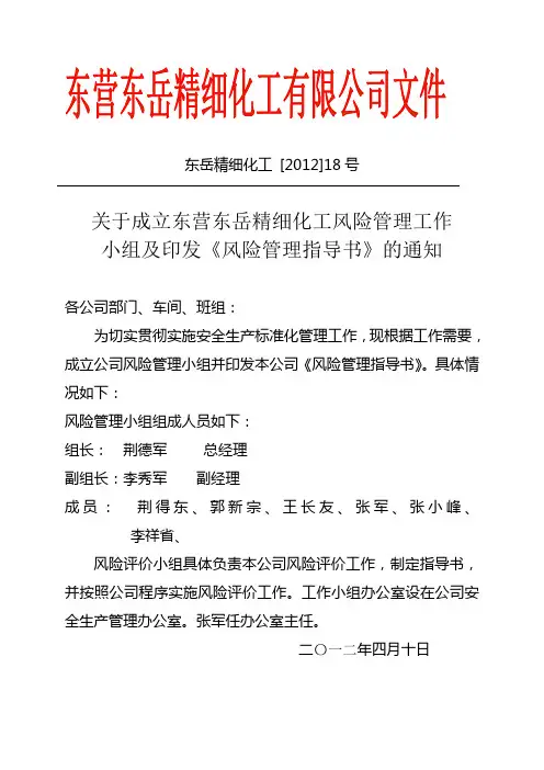 风险管理指导书精细化工