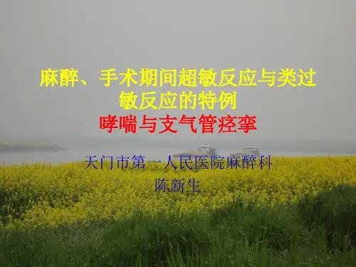 麻醉期超敏反应