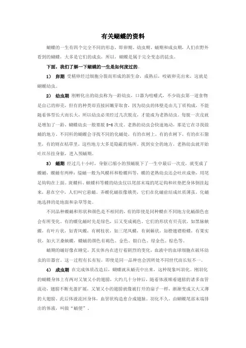蝴蝶资料