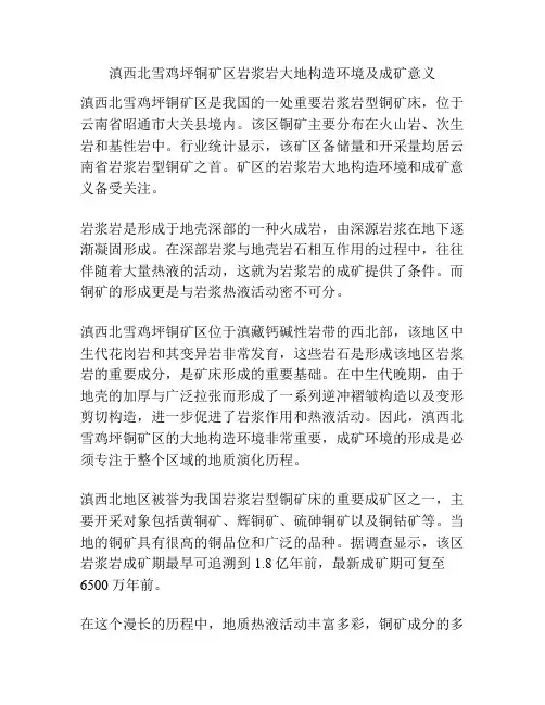 滇西北雪鸡坪铜矿区岩浆岩大地构造环境及成矿意义