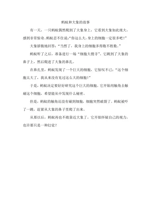 蚂蚁大象的故事