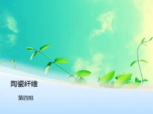 陶瓷纤维资料