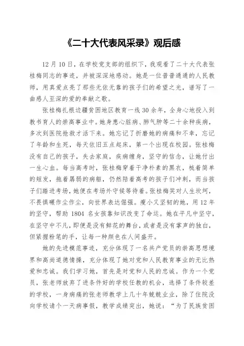 《二十大代表风采录》观后感2