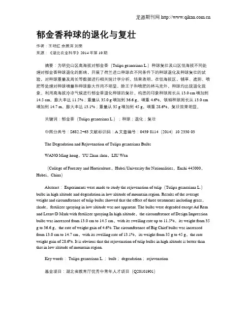 郁金香种球的退化与复壮