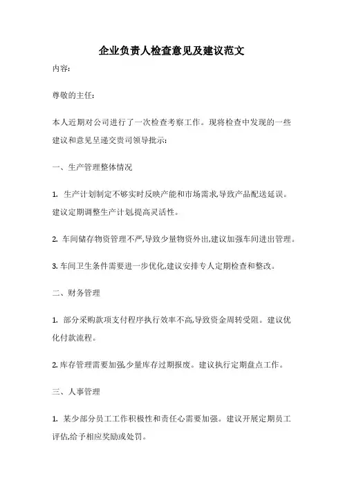 企业负责人检查意见及建议范文