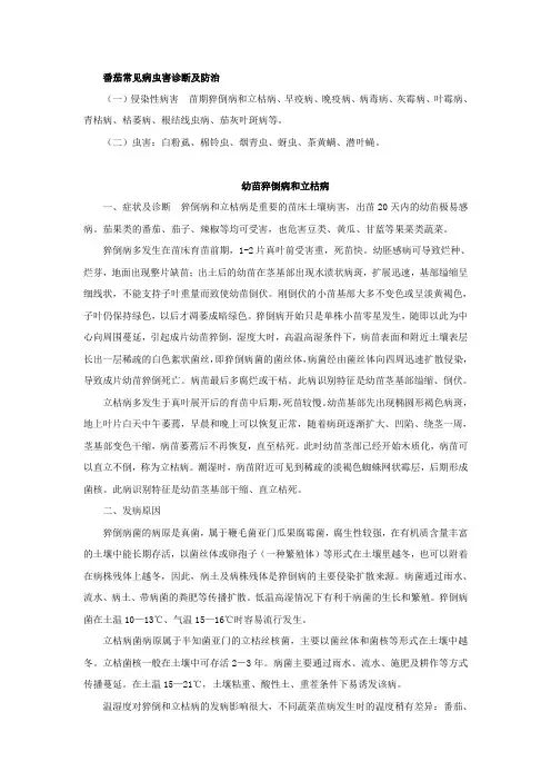 番茄常见病虫害诊断及防治