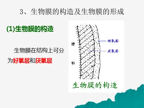 生物膜法环境科学食品科学工程科技专业资料