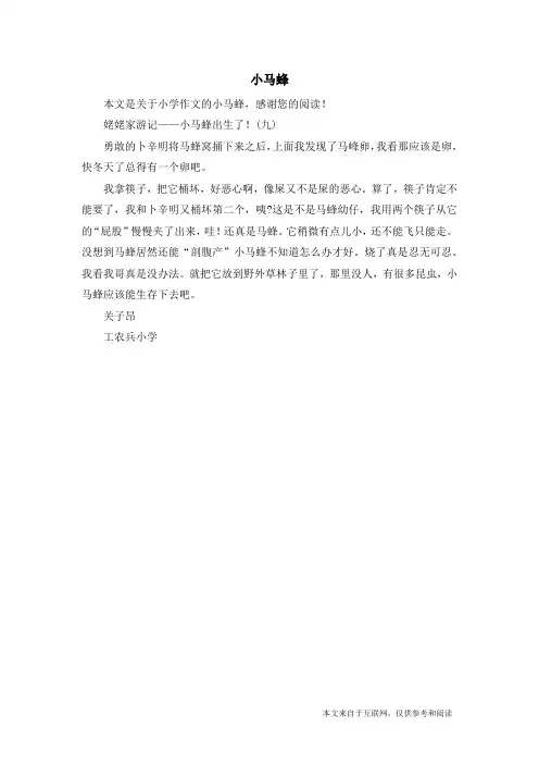 小马蜂_小学作文