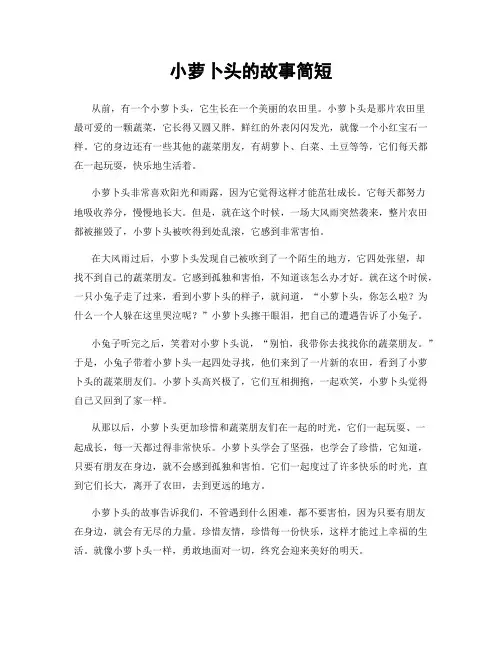 小萝卜头的故事简短