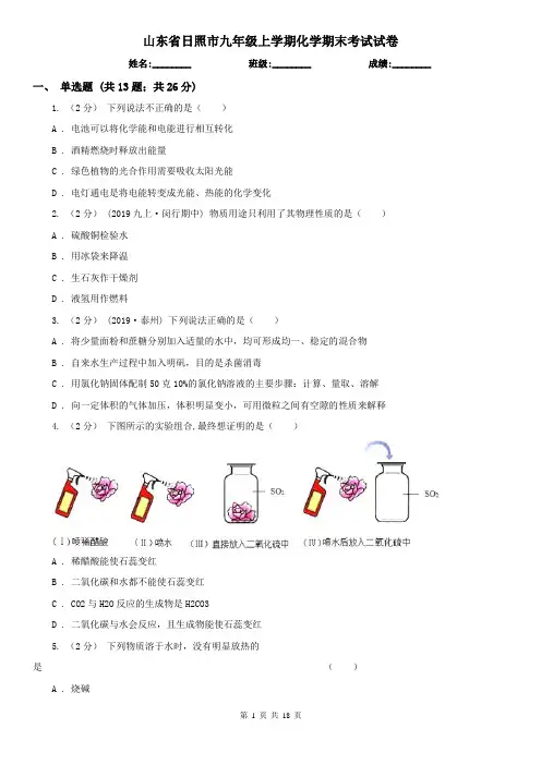 山东省日照市九年级上学期化学期末考试试卷