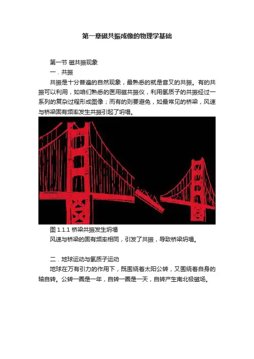第一章磁共振成像的物理学基础