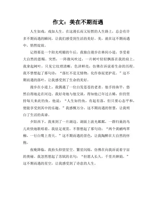 作文美在不期而遇