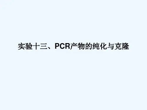 实验十三、PCR产物的纯化与克隆