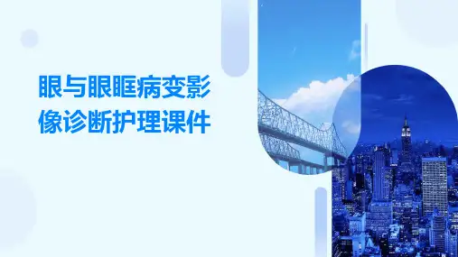 眼与眼眶病变影像诊断护理课件