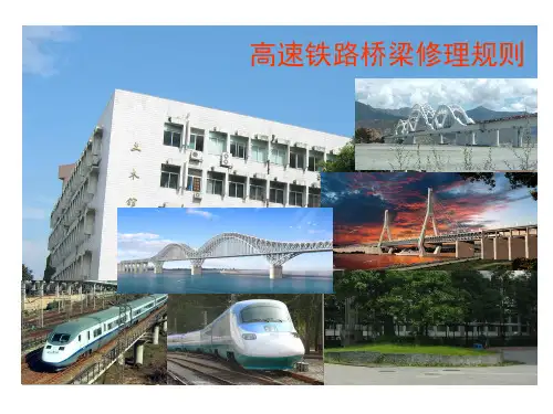 (ppt)高速铁路桥梁修理规则