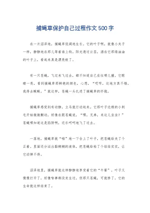 捕蝇草保护自己过程作文500字