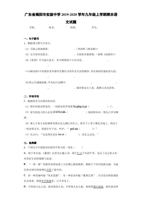 广东省揭阳市实验中学2020~2021学年九年级上学期期末语文试题