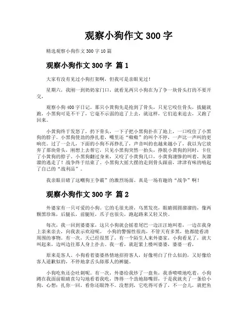 观察小狗作文300字