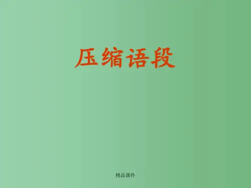 高考语文 压缩语段专题 新人教版