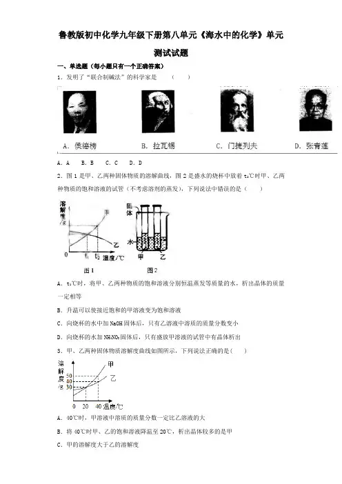 鲁教版初中化学九年级下册第八单元《海水中的化学》单元测试题(解析版)