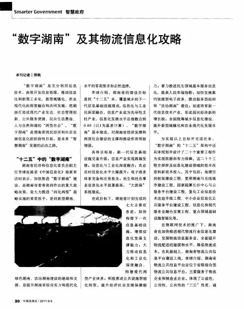 “数字湖南”及其物流信息化攻略