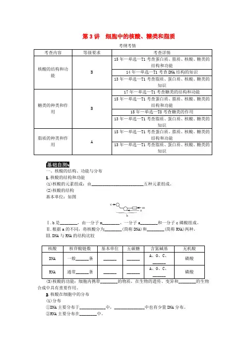 (江苏专用)2019年高考生物一轮总复习 第1单元 细胞的分子组成 第3讲 细胞中的核酸、糖类和脂质