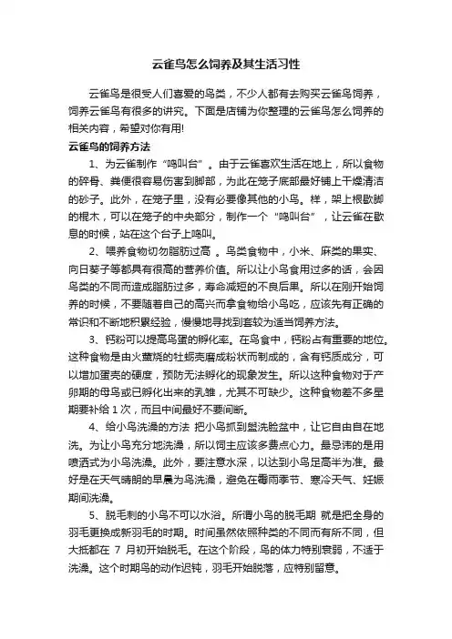 云雀鸟怎么饲养及其生活习性