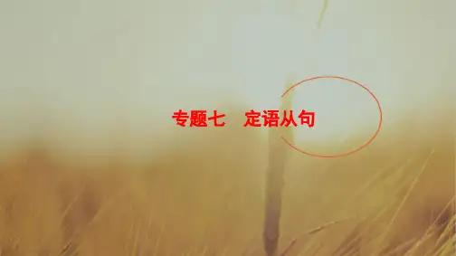2019版高三英语外研版一轮课件：第2部分 专题7 定语从句 精品
