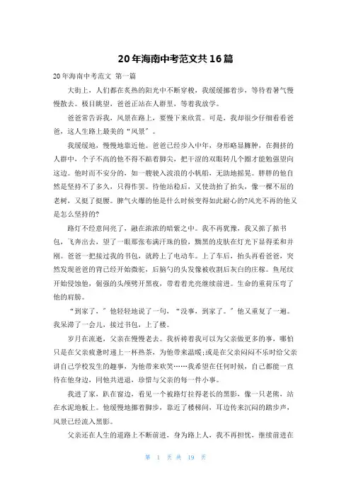 20年海南中考范文共16篇