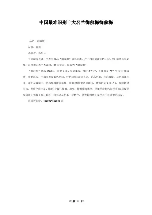 中国最难识别十大名兰御前梅御前梅