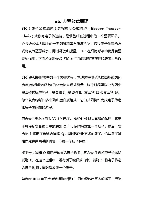 etc 典型公式原理