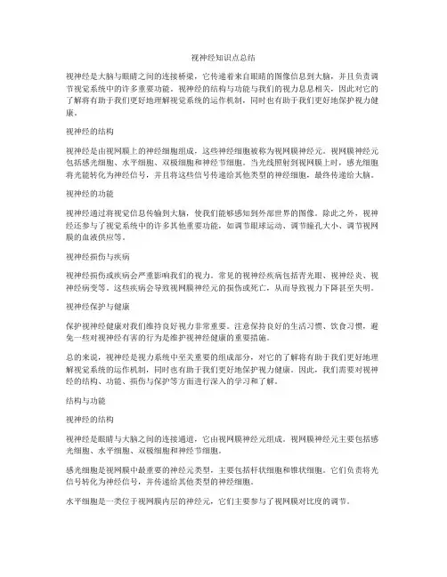 视神经知识点总结
