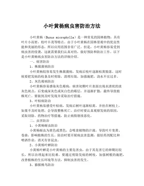 小叶黄杨病虫害防治方法