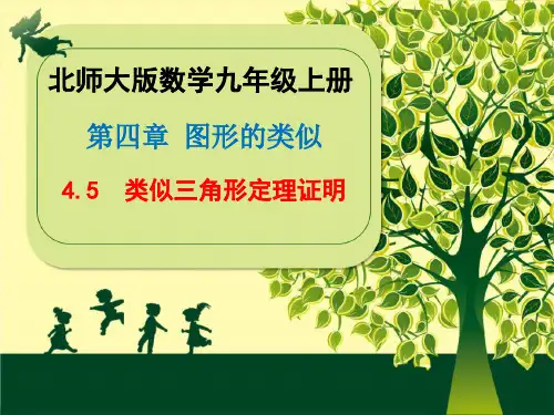 北师大版九年级上册相似三角形判定定理证明课件