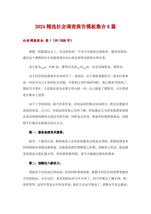 2024精选社会调查报告模板集合6篇_1