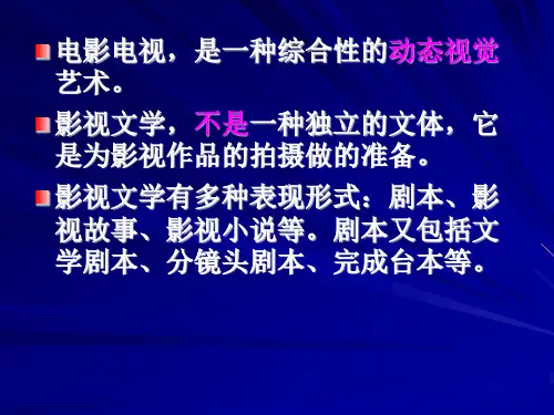 影视文学概述