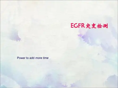 EGFR突变检测