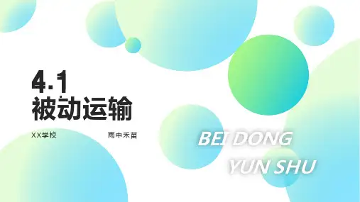 4.1 被动运输 课件【新教材】人教版(2019)高中生物必修一
