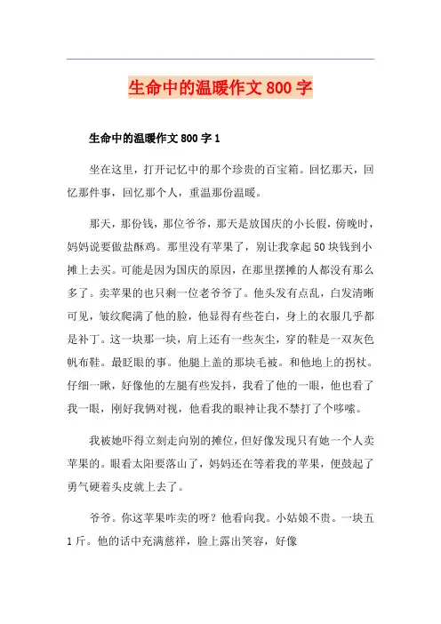 生命中的温暖作文800字