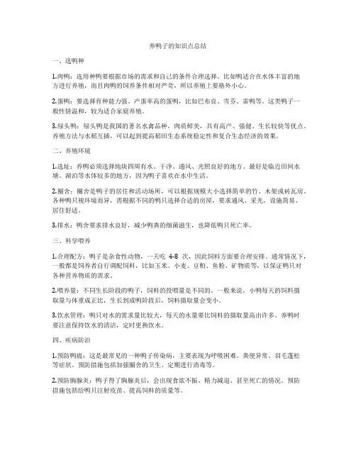 养鸭子的知识点总结